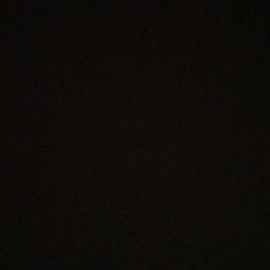 Meet your Posher, Talia